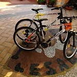 L'esagono